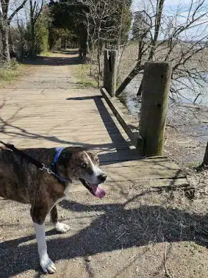 Dyke Marsh Wildlife Preserve