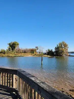 Dyke Marsh Wildlife Preserve