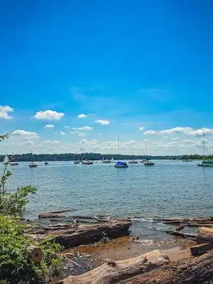 Dyke Marsh Wildlife Preserve