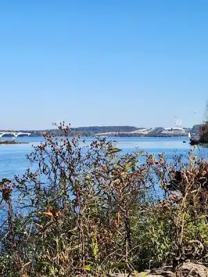 Dyke Marsh Wildlife Preserve