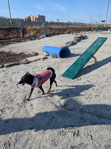 Eisenhower East Dog Park