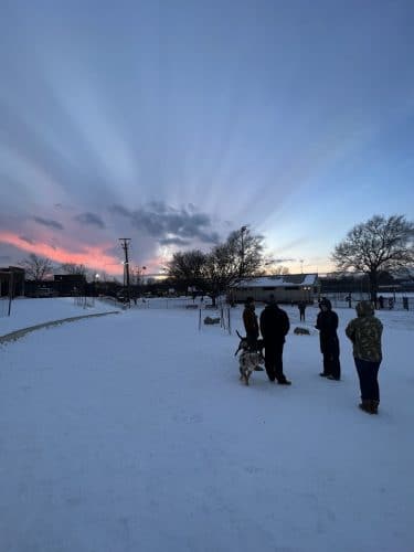 Eugene Simpson Stadium Park Dog Park