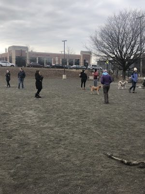 Eugene Simpson Stadium Park Dog Park