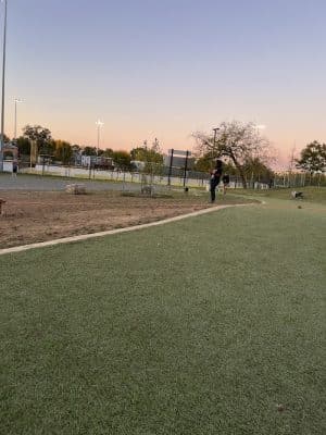 Eugene Simpson Stadium Park Dog Park