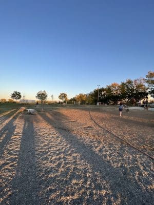 Eugene Simpson Stadium Park Dog Park