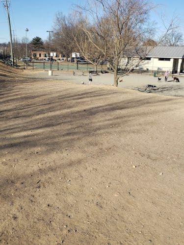 Eugene Simpson Stadium Park Dog Park