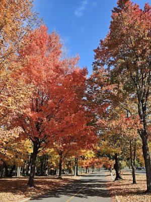 Fort Hunt Park