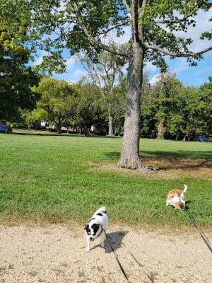 Fort Hunt Park