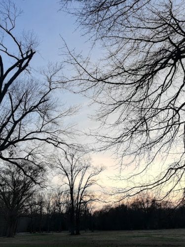 Fort Hunt Park