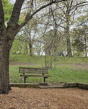 Fort Ward Park Playground