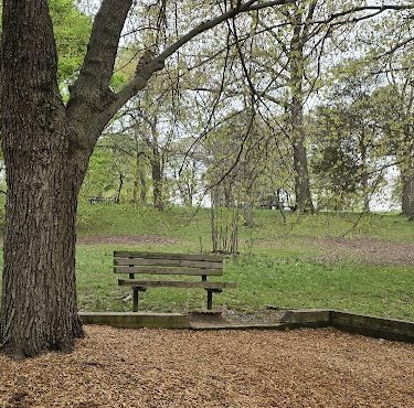 Fort Ward Park Playground