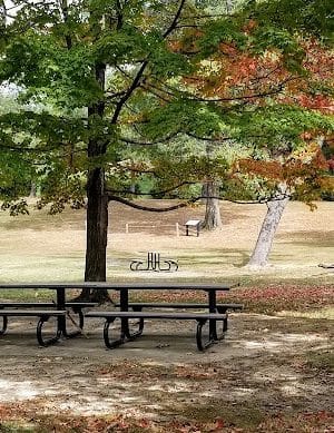 Fort Ward Park Playground