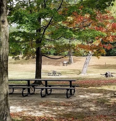 Fort Ward Park Playground