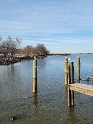 Founders Park