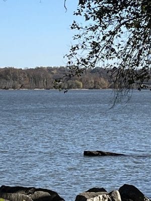 Founders Park