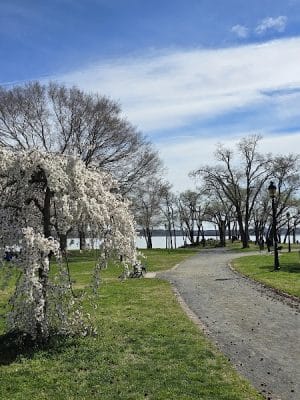 Founders Park