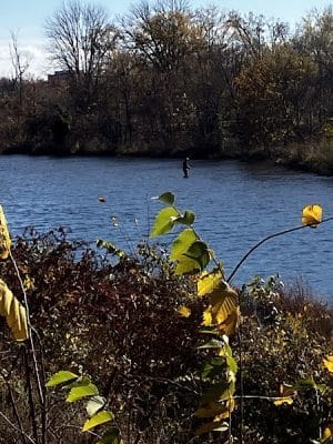 Four Mile Run Park