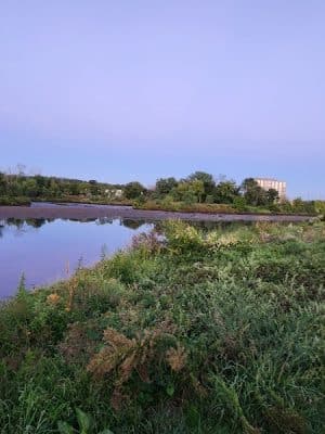 Four Mile Run Park
