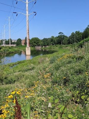 Four Mile Run Park