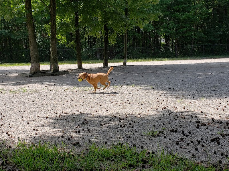 Grist Mill Park - Alexandria, VA