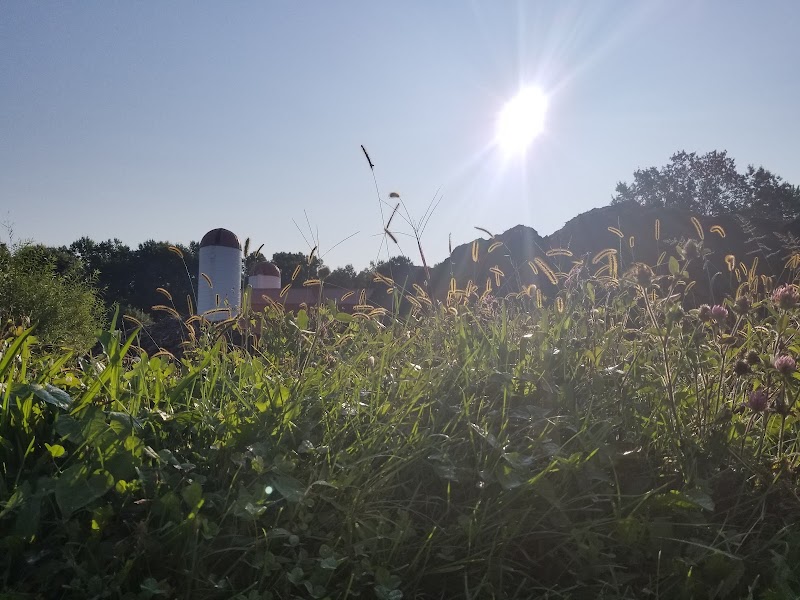 Grist Mill Park - Alexandria, VA