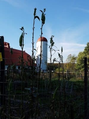 Grist Mill Park