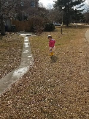 Hooffs Run Park and Greenway