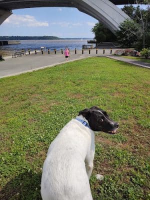 Jones Point Park