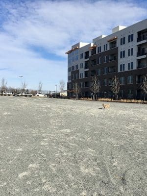 Monroe Ave Dog Park
