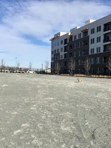 Monroe Ave Dog Park