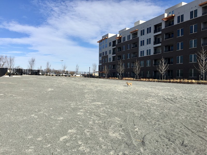 Monroe Ave Dog Park - Alexandria, VA