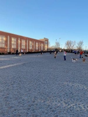 Monroe Ave Dog Park