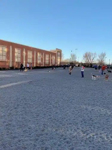 Monroe Ave Dog Park