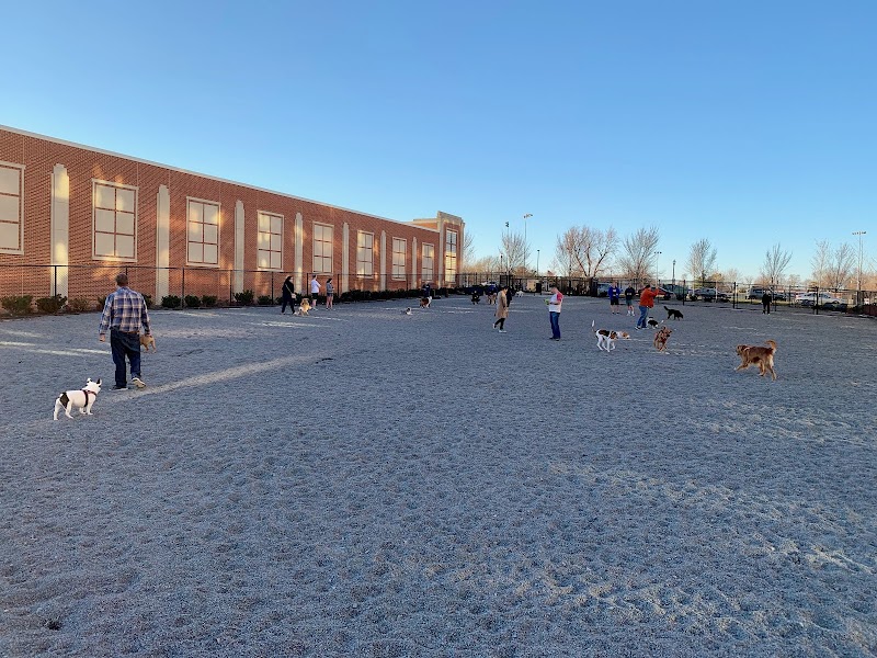 Monroe Ave Dog Park - Alexandria, VA
