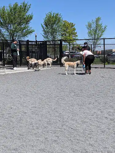 Monroe Ave Dog Park
