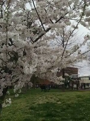 Montgomery Park