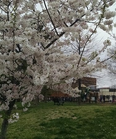 Montgomery Park