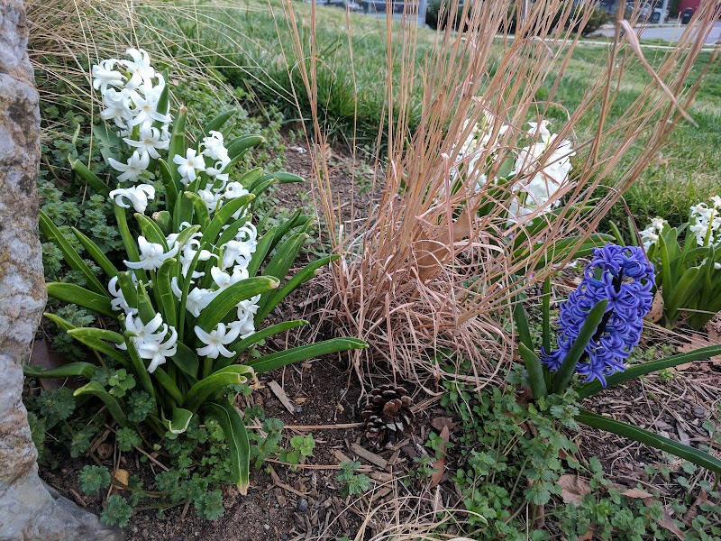 Montgomery Park - Alexandria, VA