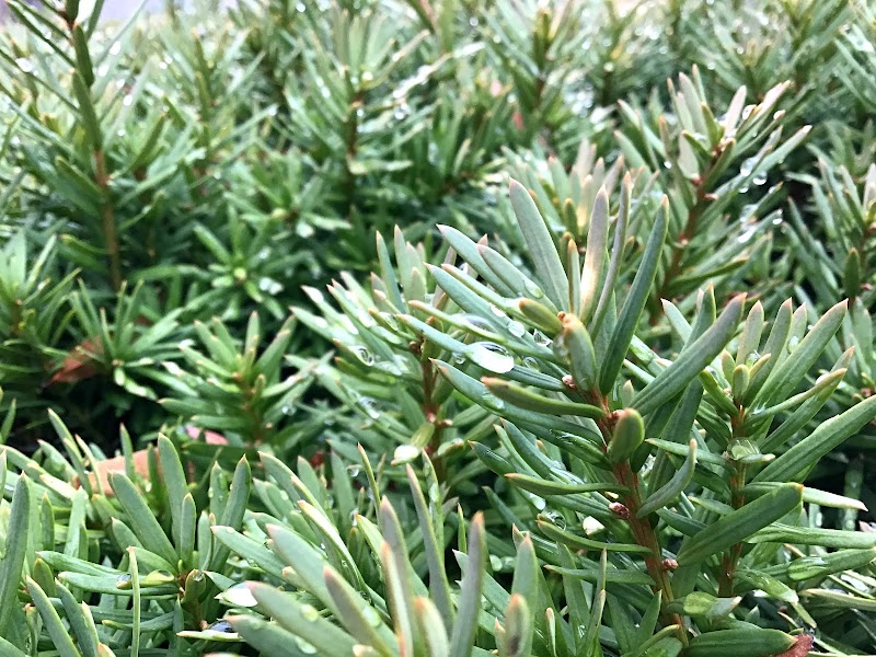Montgomery Park - Alexandria, VA