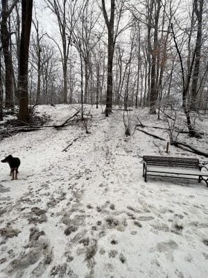 Monticello Park