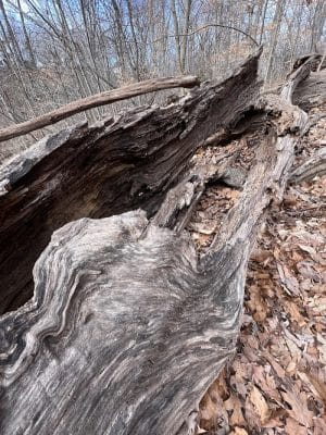 Monticello Park