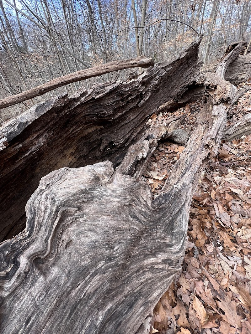 Monticello Park - Alexandria, VA