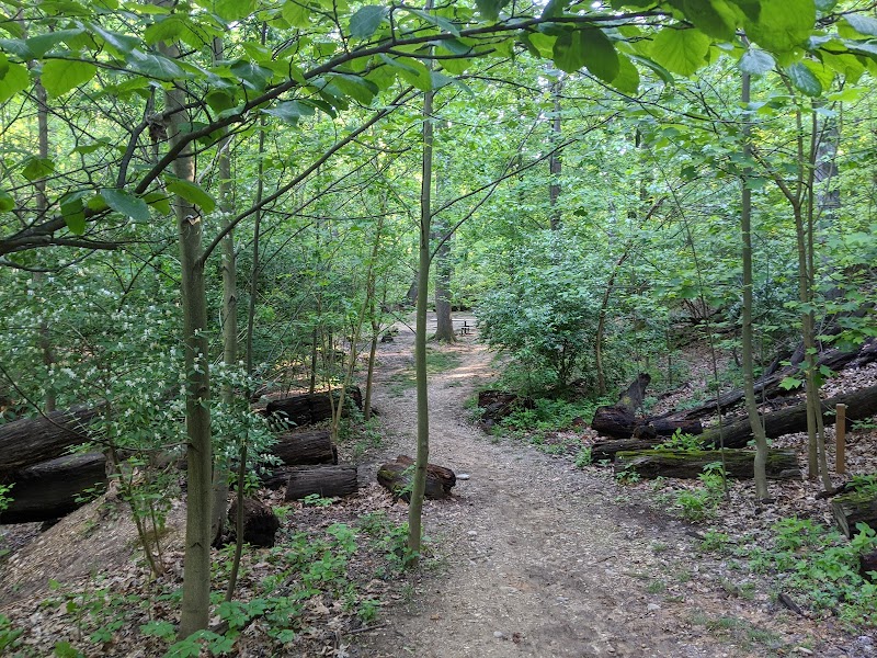 Monticello Park - Alexandria, VA