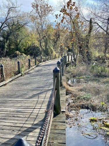 Mount Vernon Trail