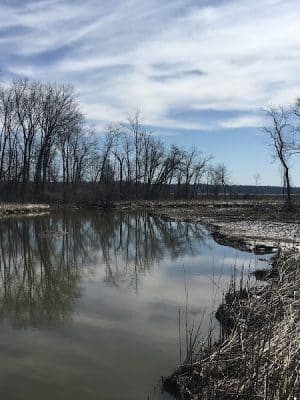 Mount Vernon Trail