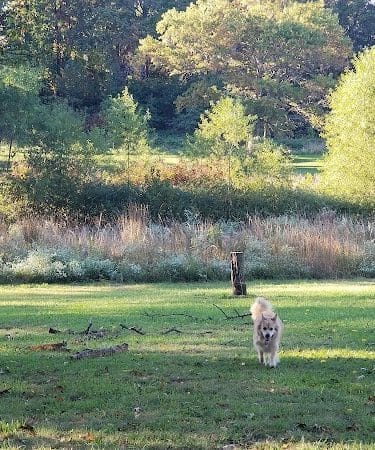 Olander and Margaret Banks Neighborhood Park - Alexandria, VA