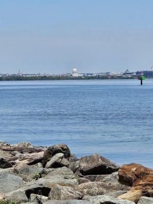 Oronoco Bay Park