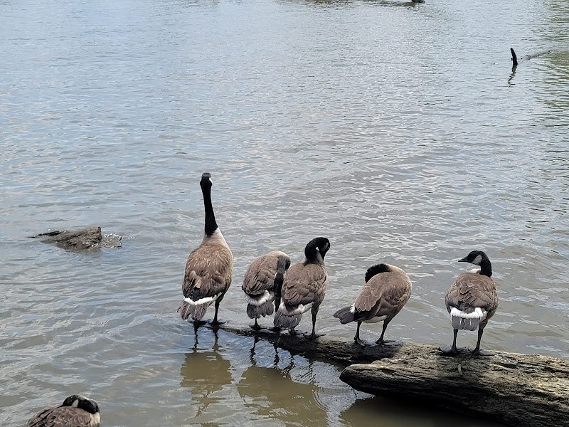 Oronoco Bay Park - Alexandria, VA