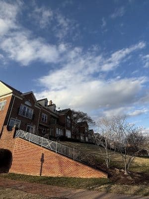Oronoco Bay Park
