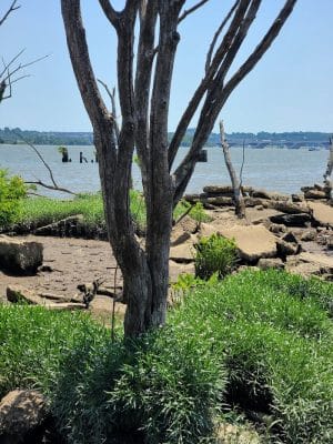 Oronoco Bay Park